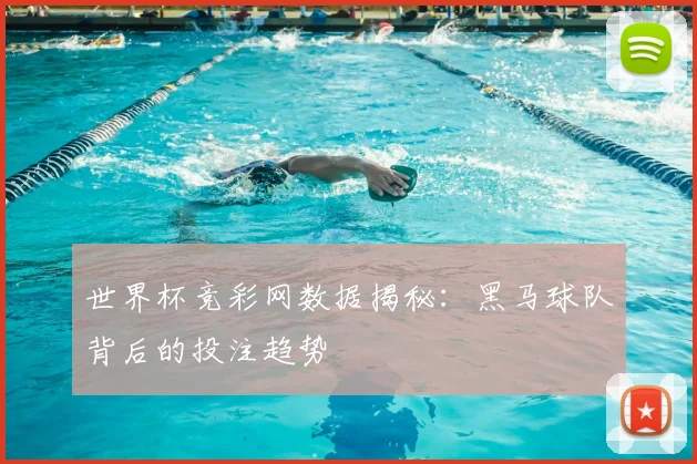 世界杯竞彩网数据揭秘：黑马球队背后的投注趋势